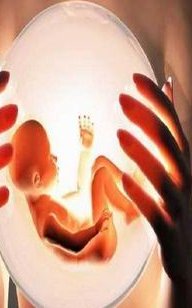 2026济南试管婴儿费用预估，四大项目花费有所不同