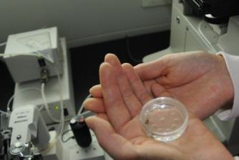 试管第一次21三体移植剩下的胚胎还会发生三体吗？