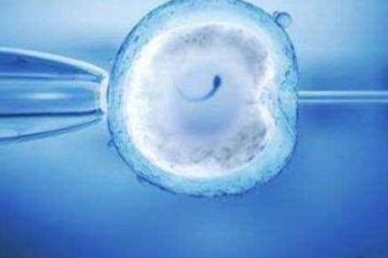 2026山大生殖可以做三代试管婴儿吗？附试管明细